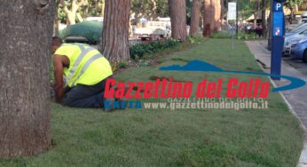 Potatura alberi, taglio erba e pulizia a Gaeta: Il calendario degli interventi