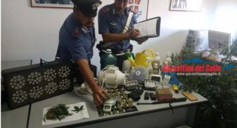 Minturno, piantagione di marijuana in casa: arrestati un uomo e una donna di Formia