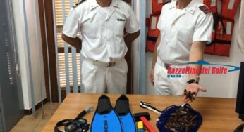 Sorpreso a pescare datteri di mare: la Guardia Costiera di Gaeta denuncia un uomo di Minturno