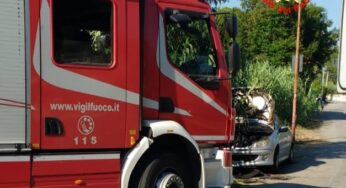 Incendio a Gianola: a fuoco sterpaglie e un canneto