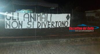 La Foresta che Avanza gruppo ecologista di CasaPound contro il Circo Orfei