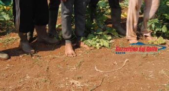 Lotta allo sfruttamento dei braccianti agricoli. Un arresto e due denunciati