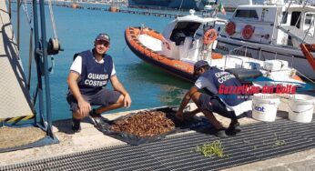 Guardia Costiera blocca pescatore di frodo di datteri di mare