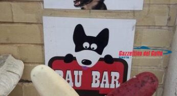 Gaeta, nasce il ‘gelato per cani’