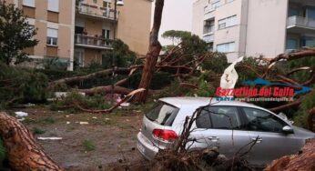 Maltempo: Protezione Civile Lazio, 10 squadre per liberare strade Terracina