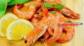I mazzancuogni del Re. I soggiorni a Mola di Re Ferdinando