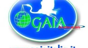 Finalmente possiamo proteggere i nostri “fedeli amici”! La legge tutela i loro diritti, parola dell’avvocato animalista Irene Ciaramaglia