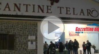 Azienda Telaro: tra passato ed innovazione (#video)