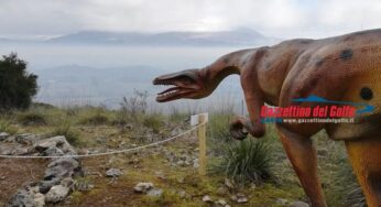 Ultimi giorni per visitare il Parco paleontologico di Monte Menola