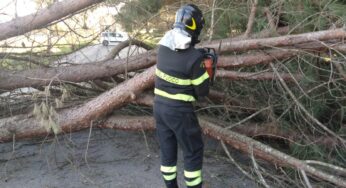 Vento forte in tutta la provincia. Molti gli interventi dei Vigili del Fuoco