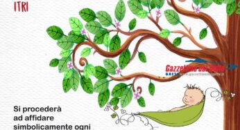 Itri: torna un albero per ogni nato
