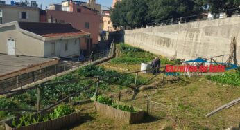 In città con vanga, zappa e rastrello: è tempo di ‘orti urbani’