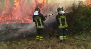 Incendi boschivi, oltre 30 solo oggi
