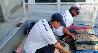 Formia, violate norme igienico sanitarie. Sanzionato pescatore