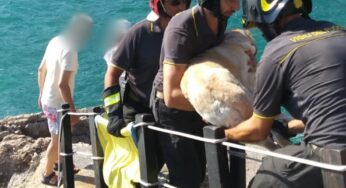 Labrador bloccato sugli scogli, salvato dai Vigili del Fuoco