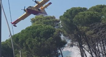 Incendio boschivo a Santi Cosma e Damiano, rinvenuto presunto innesco