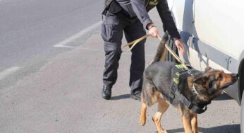 Guardia di Finanza, controlli antidroga: Arrestato uno spacciatore
