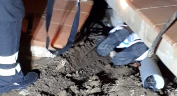 Cuccioli bloccati nell’intercapedine delle scale, salvati dai Vigili del Fuoco (#foto)