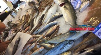 Blocco della pesca nel Golfo