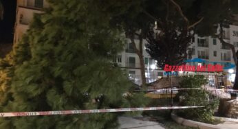Gaeta, pino si abbatte nel parco giochi. Assessore Maltempo: “Tragedia sfiorata” (#foto-#video)
