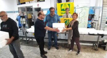 A Terracina cassette del pesce in polistirolo compostabile