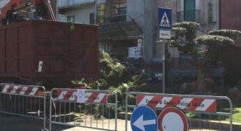 Gaeta, tagliati i pini pericolanti. Riaperto il Lungomare