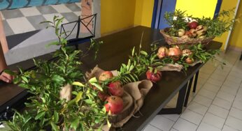 Festa dell’albero: gli alunni piantano un melograno nel cortile della scuola
