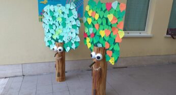 “Festa dell’Albero” a Formia, tutti insieme per l’eroe del giorno l’albero!