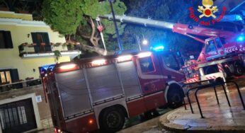Maltempo, gli interventi dei Vigili del Fuoco