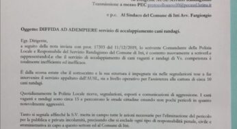 Itri: questione randagi, il Comandante diffida la ASL