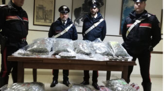 Terracina, sorpreso con 30 kg di droga. Arrestato