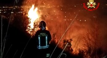 In fiamme macchia mediterranea. Sul posto i Vigili del Fuoco