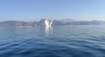 Gaeta, fatte esplodere in mare 15 mine anticarro (#foto-#video)