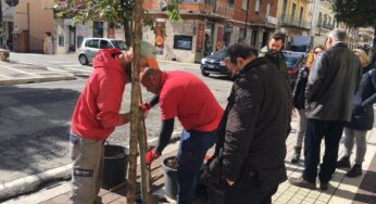 A Formia “M’illumino di meno”, piantumati sette lecci in via Vitruvio