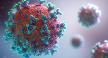 Covid in provincia, bollettino 11 giugno: 15 nuovi casi e 5 decessi