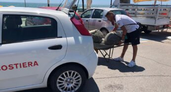 Oltre 100 kg di cozze pescate abusivamente: nuovo ingente sequestro da parte della Guardia Costiera di Gaeta