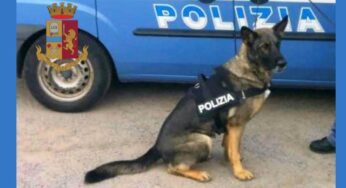 Gaeta, controlli antidroga sulla spiaggia di Serapo