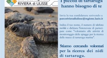 AAA reclutamento volontari per la difesa dei nidi di Caretta caretta
