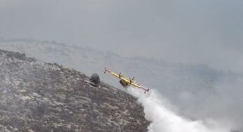 Incendio boschivo: in fiamme 30 ettari di vegetazione