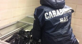 Formia, sequestrati 300 kg di carne in un ristorante