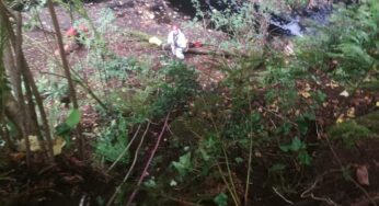 Cane cade in un canale, salvato dai Vigili del Fuoco