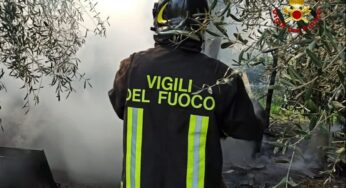 Minturno, incendio in un pollaio. Salvi tutti gli animali