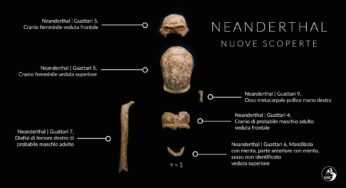 Scoperta sensazionale: trovati 9 uomini di Neanderthal al Circeo