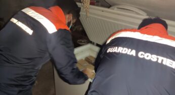 La Guardia Costiera sequestra oltre 150 chili di prodotto ittico