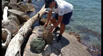 Formia, Guardia Costiera sequestra 50 kg di cozze