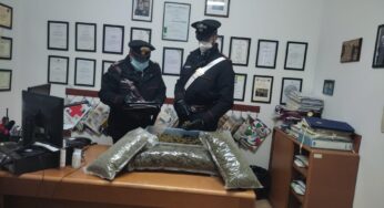60 kg di marijuana stipata in contenitori, arrestati due 50enni