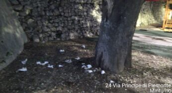Villa comunale di Minturno nel più totale degrado, la denuncia di Fratelli d’Italia