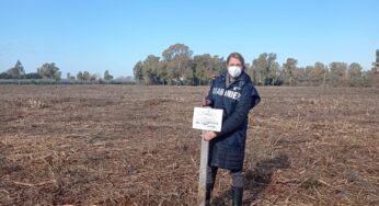 Sequestro preventivo urgente di un terreno di circa 90000 mq per eradicazione abusiva di un’area boscata