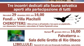 Fauna selvatica, incontri nel Parco Monti Ausoni