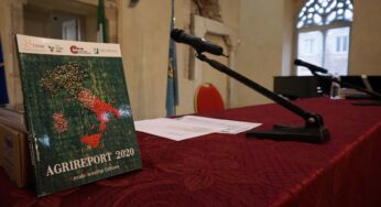 Nasce a Fondi la filiera sperimentale della sostenibilità in agricoltura